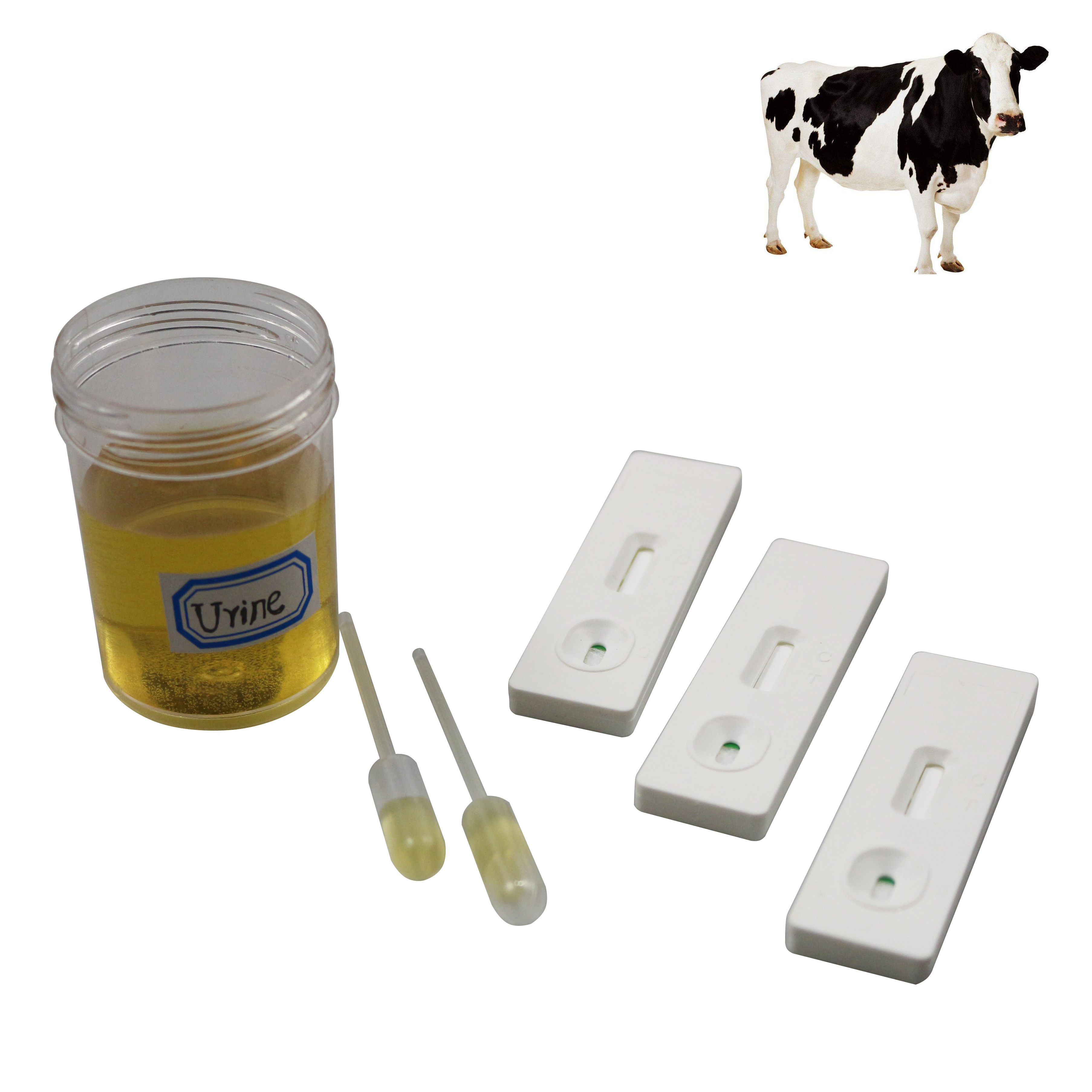 Cow Pregnancy Test Strip Cattle Urine Pregnancy Test  Kit