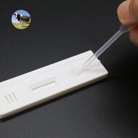 Cow Pregnancy Test kit