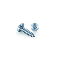 Silver Stainless Steel Self Tapping Screws