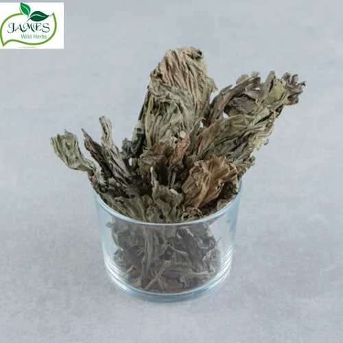 Bhringraj Dry Extract - Color: Green