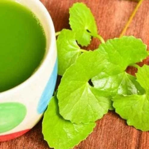 Green Liquid Birahmi Extract