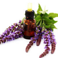 Clary Sage Essential Oil Age Group: All Age Group