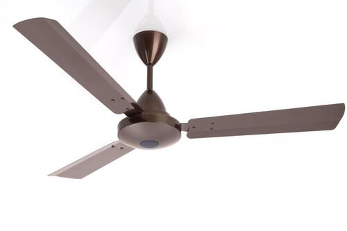 Ceiling Fans