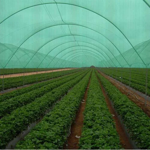 Agriculture Green House Net