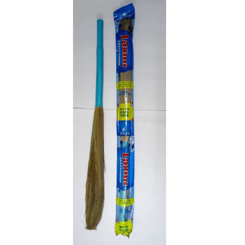 Grass Broom