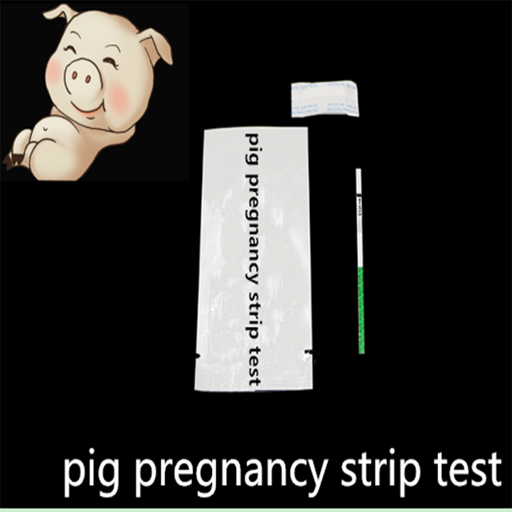 Pig Pregnancy Test kit