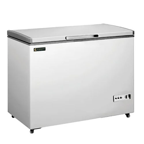 Silver Deep Freezer