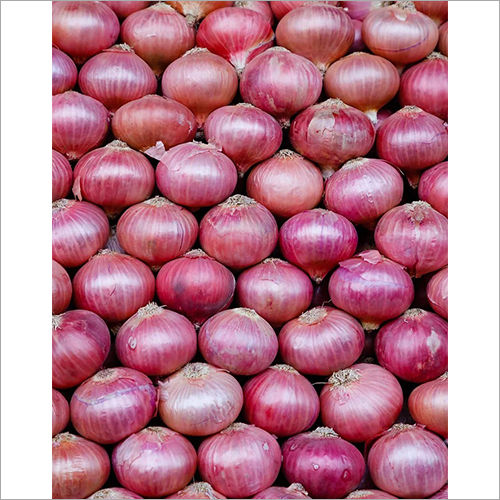 Red Onion