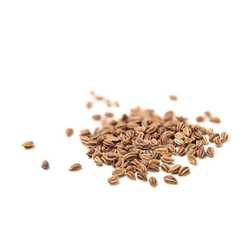 Natural Celery Seed