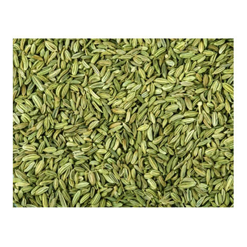 Green Fennel Seed at Best Price in Chennai, Tamil Nadu Acekite