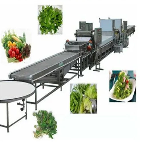 Vegetable And Fruit Processing Plant Industrial