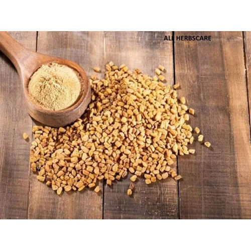 Fenugreek Powder Ingredients: Herbal Extract