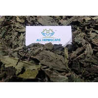 Nettle Leaves