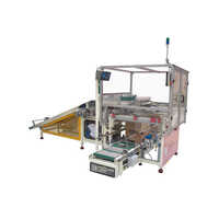 Sachet - Pouch Case Packer
