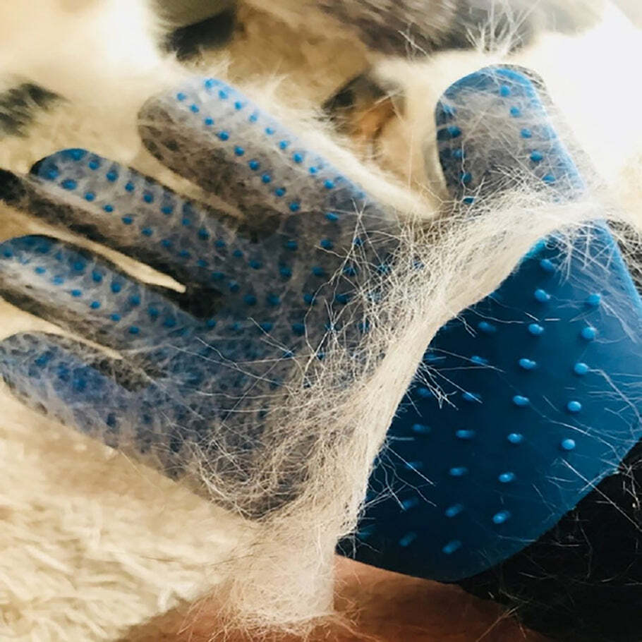 Pet Hair Remover Glove and Self Cleaning Fur Remover (4681)