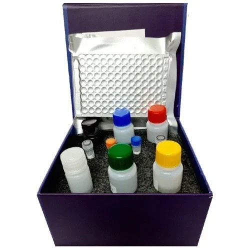 BioAssay Human Homocysteine Elisa Kit