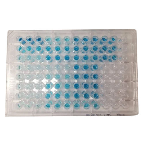 Human ATT IgA ELISA Kit