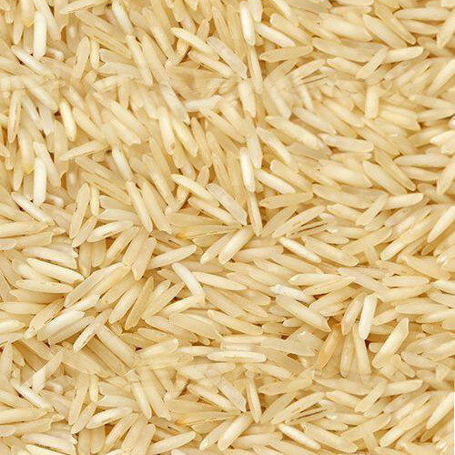 1401 Golden Sella Rice