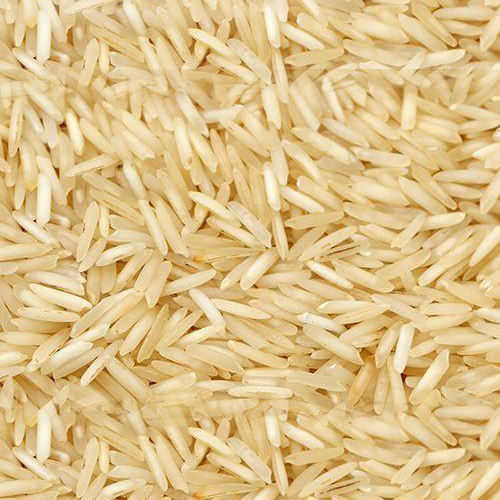 1401 Steam Rice