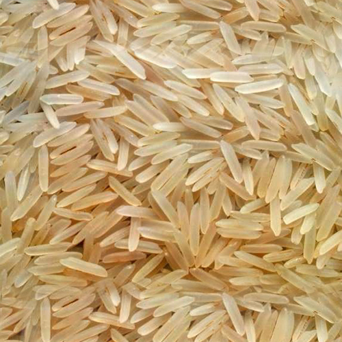 1509 Golden Sella Rice