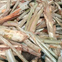 Natural Eucalyptus Firewood