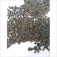 Pillipesara Seed