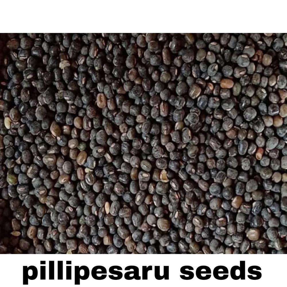 Pillipesara Seed - Color: Green