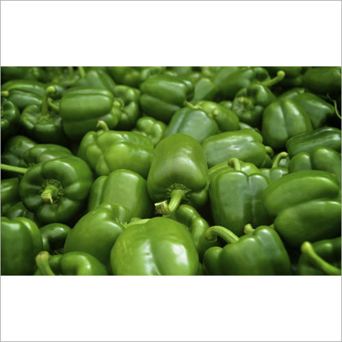 Fresh Capsicum - Moisture (%): Na