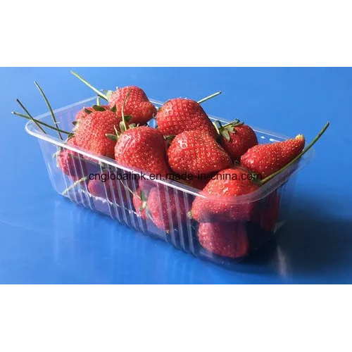 Plastic Transparent Blister Tray - PET Material,  Durable Design | Clear Finish for Secure Visibility and Easy Product Display