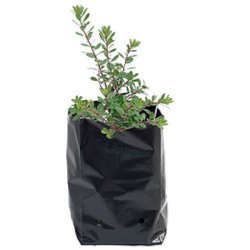 Nursery Bags - Color: Black