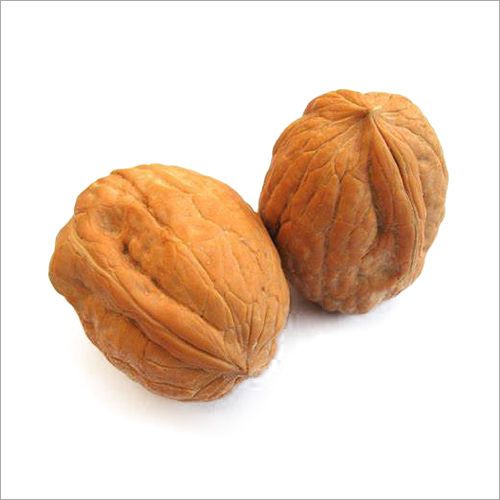 Common Walnut Kernels