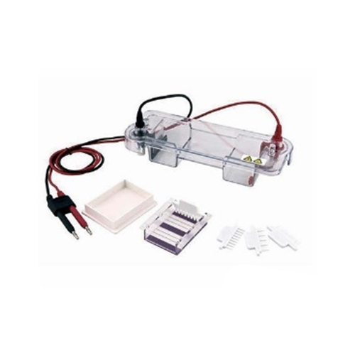 Electrophoresis (Gel Size 12X12 Cm 6X6 Cm 12X6 Cm)