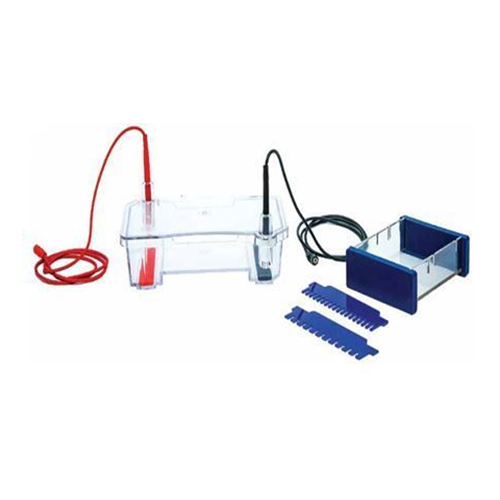 Mini Horizontal Gel Electrophoresis