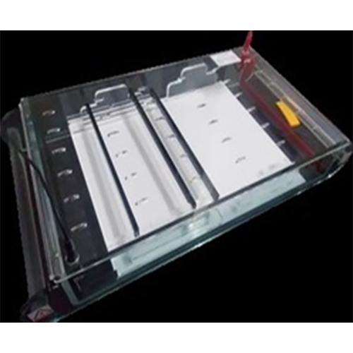 Twin Electrophoretic System