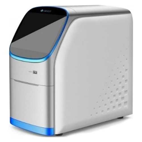 Real Time PCR
