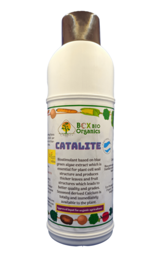 CATALITE - CALCIUM SUPPLEMENT