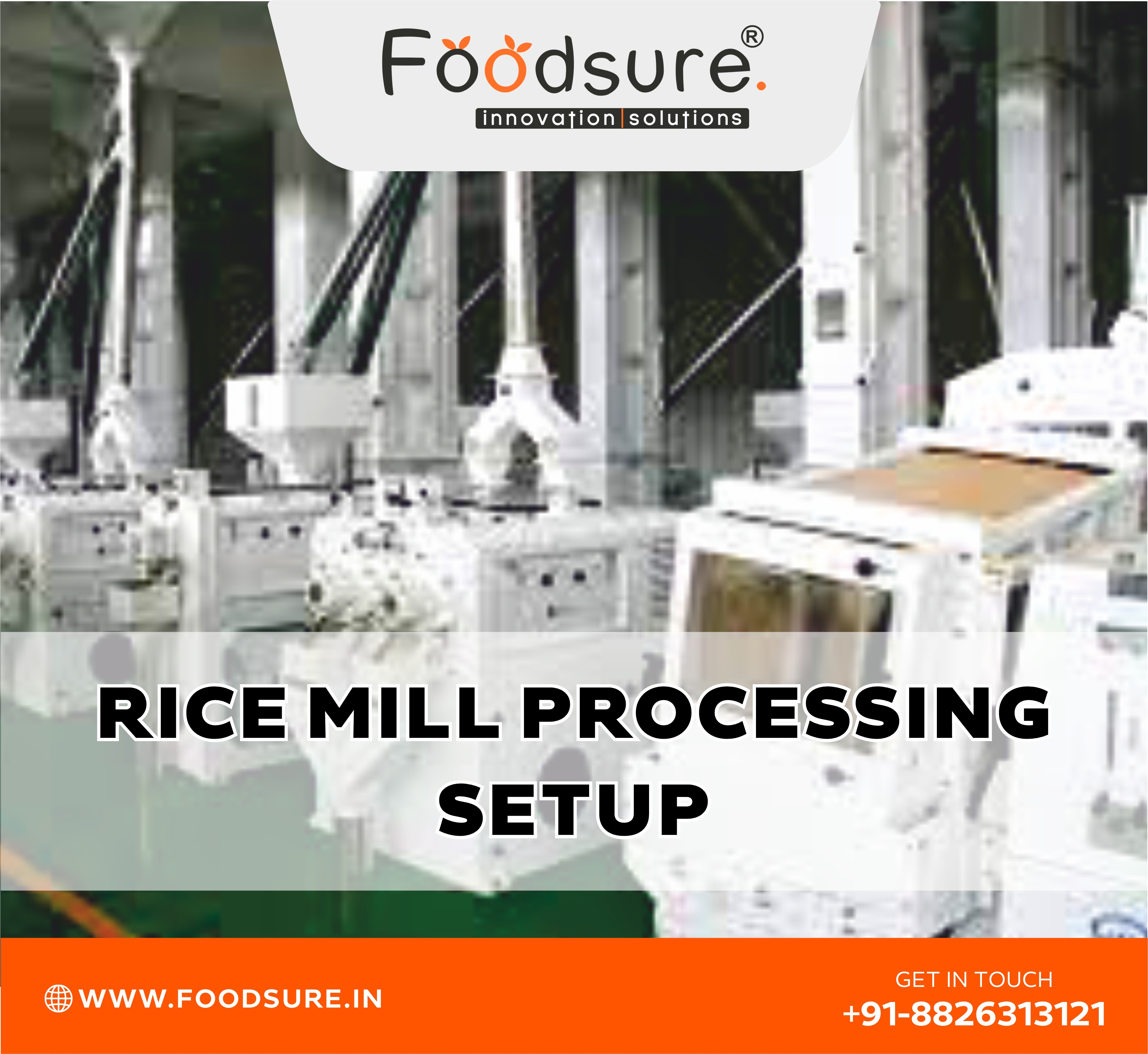 Rice Plant Setup Consultant