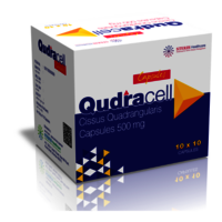 Cissus Quadrangullaris 500mg - Dosage Form: Capsules