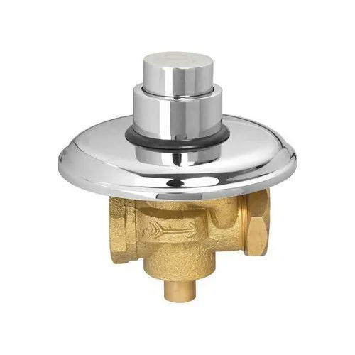 Silver Brass Push Type Flush Valve