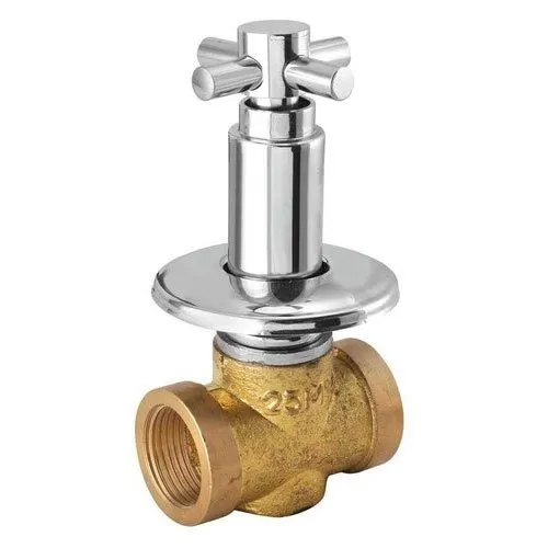 25 MM Brass Flush Valve