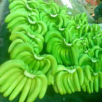 Green Banana - Non-peeled, Common Variety | Starchy Sweet Flavor, Rich In Fiber And Potassium, Perfect For Cooking And Baking