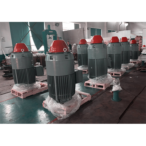 VHS motor TEFC series