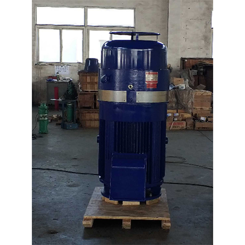 Vertical solid shaft motor