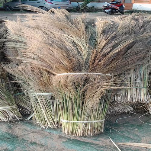 Grass Broom