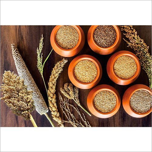 Health Mix Powder Efficacy: Feed  Preservatives