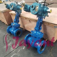 Any Colour Motorized Gate Valve
