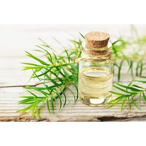 Tea Tree Oil