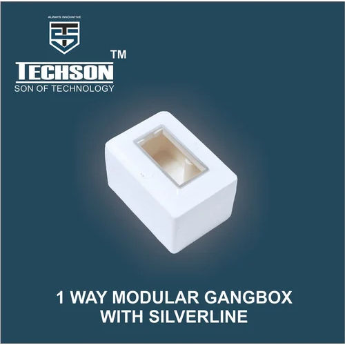 1 Way Modular Gangbox with Silverline