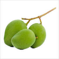 Alphonso Green Mango