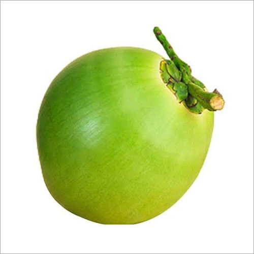 Green Fresh Coconuts